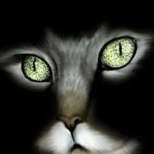 Meet your Posher, Joyce